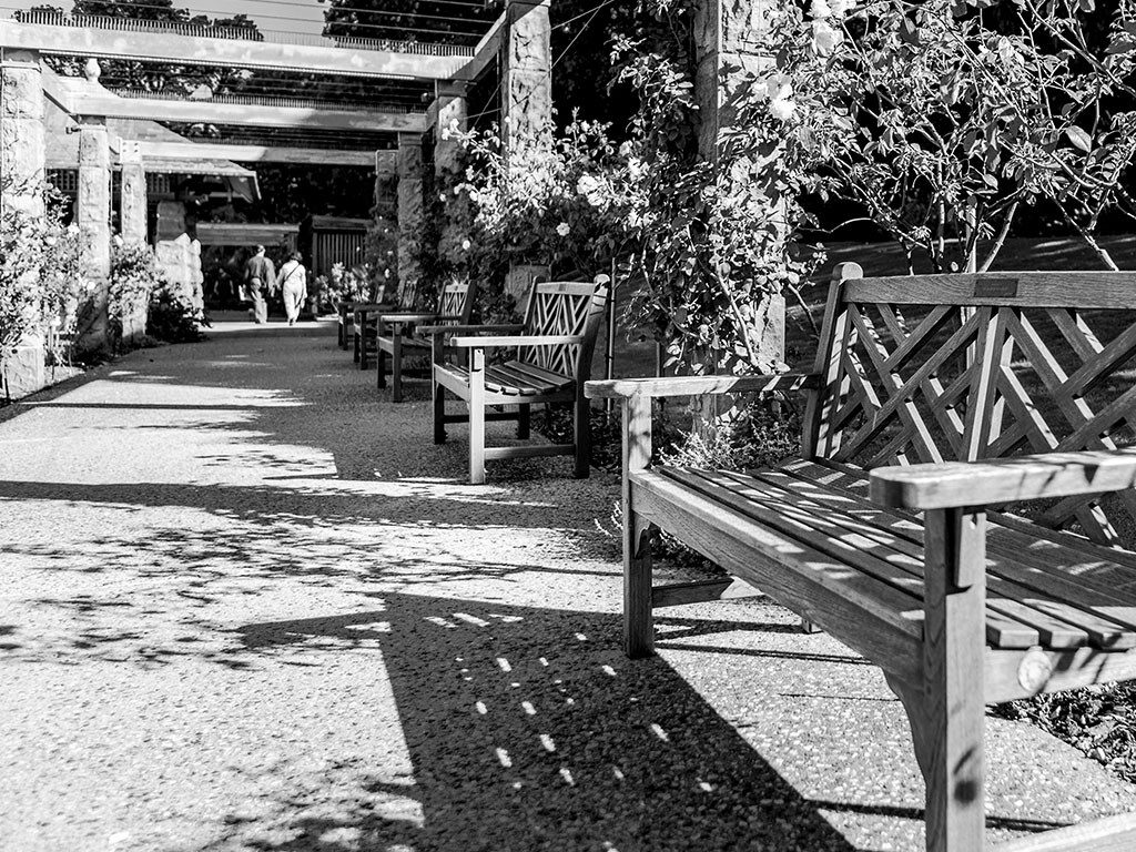 botanic gardens 1024x1024